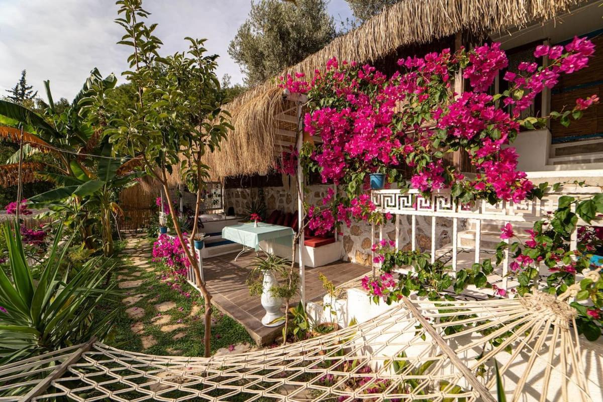 פאטהיה Begonvilla Bungalows מראה חיצוני תמונה