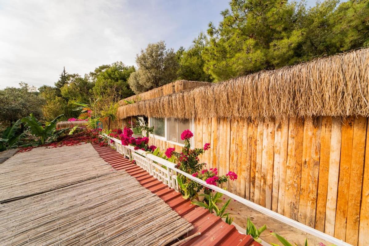 פאטהיה Begonvilla Bungalows מראה חיצוני תמונה